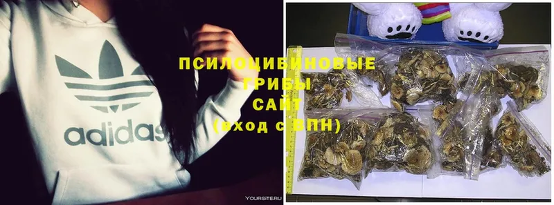 Галлюциногенные грибы MAGIC MUSHROOMS  Нефтеюганск 